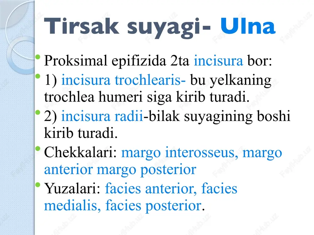 qo’l, oyoq va chanoq suyaklarining funksional anatomiyasi - Page 9
