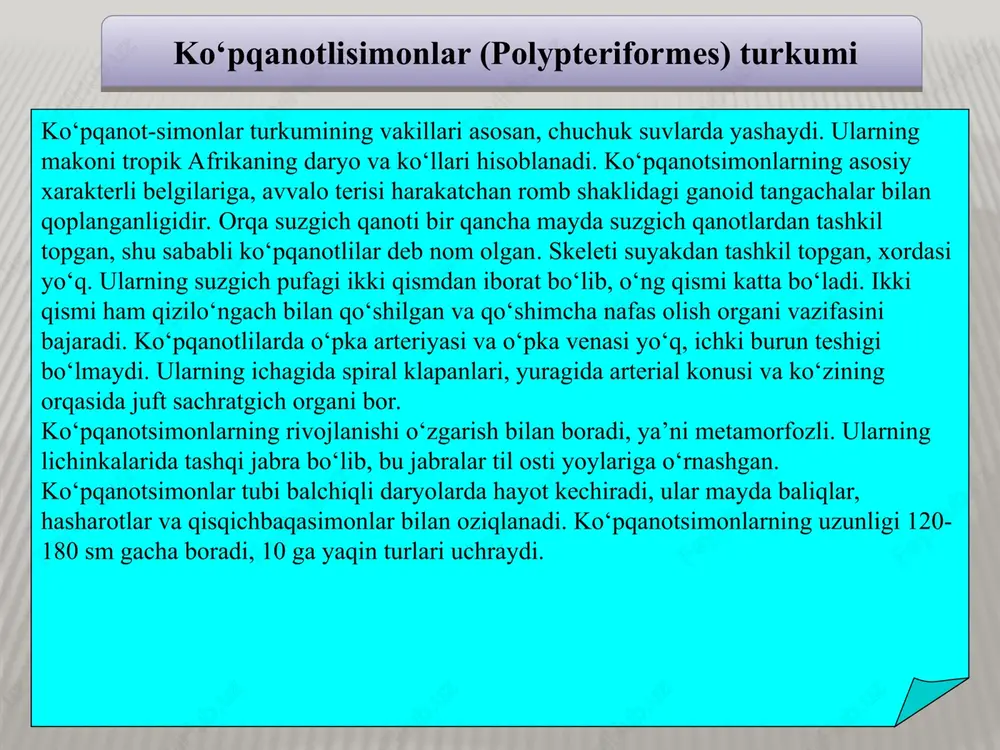 alim (lota lota) yevropa, osiyo va shimoliy amerika chuchuk suvlarida yashaydi va u sanoat ahamiyatiga ega bo‘lgan yagona qimmatbaho baliqlardan hisoblanadi. treskasimonlar turkumidan eng katta ov ahamiyatiga ega bo‘lgan turi treska (gadus morhua) hisoblanadi. treskasimonlar (gadiformes) turkumi treskasimonlarni ovlash dunyo miqyosida seldsimonlardan keyin ikkinchi o‘rinda turadi. uning go‘shtidan tashqari, jigaridan olinadigan shifobaxsh baliq moyidan ham foydalaniladi. treskalar juda ham serpusht, ya’ni bitta urg‘ochisi 2,5 milliondan 10 milliontagacha ikra tashlaydi. treskalarning eng yirigi 180 sm gacha va og‘irligi 40 kg gacha boradi. ular 8-10 yoshda jinsiy voyaga yetadi, 24-25 yilgacha yashashi mumkin. treskasimonlardan piksha (melanogrammus aeglefinus), navaga (eleginus navaga), sayka (voreogadus saida), mintay (theragra chalcogramma) va boshqa turlari ko‘plab ovlanadi. bu baliqlarning xarakterli belgisi jabra bo‘shlig‘ining qopsimon o‘sib chiqqanligidir, ya’ni anabaslarda jabra yaproqlari kam taraqqiy etgan, lekin jabra bo‘shlig‘ida talaygina qon tomirlar bilan ta’minlangan shilliq pardali yupqa suyak plastinkalaridan iborat murakkab labirint bo‘ladi. treskasimonlar (gadiformes) turkumi piksha navaga sayka kambalasimonlar turkumiga …