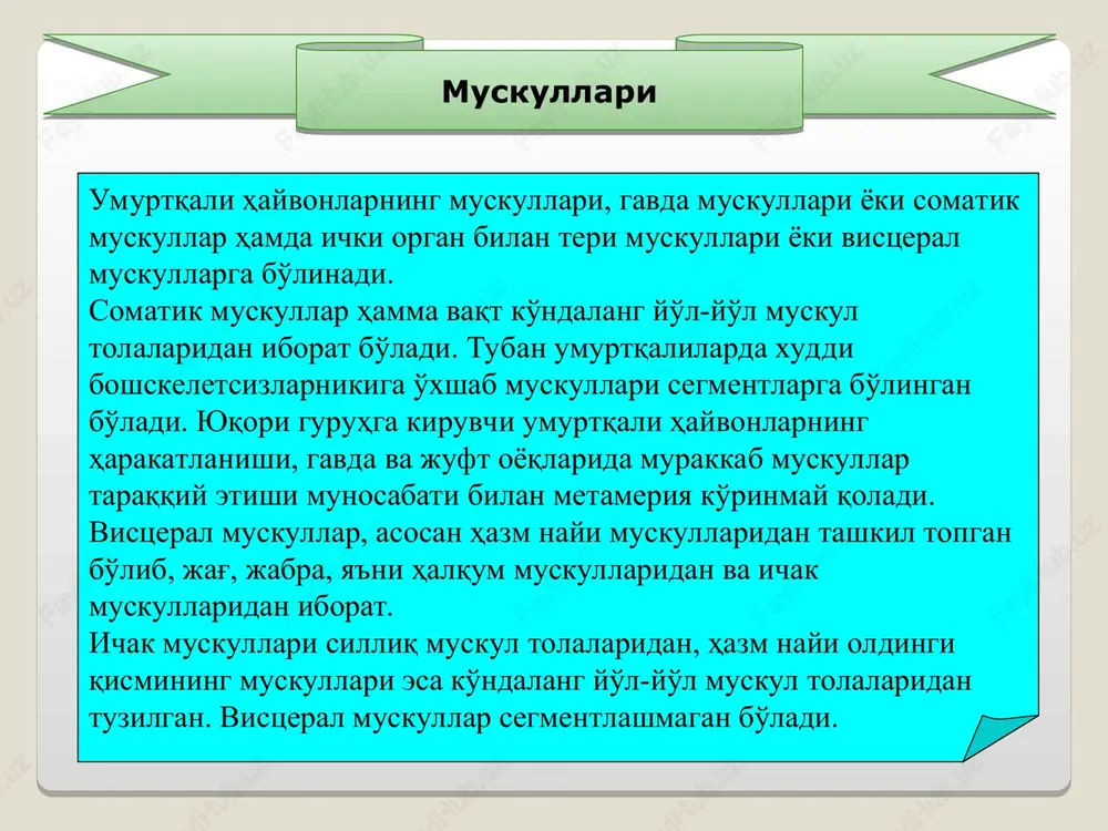 iomerlardan iborat. har bir organning murakkab tuzilgan o'z muskuli bor. muskul segmentlarini qoplag'ich biriktiruvchi to'qima mioseptalar chegaralab turadi. suzgich muskullari va boshning vistseral qismi muskullari yaxshi rivojlangan. vistseral muskullar o'ljasiga yopishish, terisini parmalab teshik teshish, oziqni so'rish va boshqa vazifalarni bajaradi. to'garak og'izlilarning harakatlanish organlari orqa va dum suzgichlardan iborat. suzgichlar skeleti ingichka tog'ay nurlaridan tashkil topgan. to'garak og'izlilarning harakatlanishida suzgichlari katta ahamiyatga ega emas. ular tanasini u yoki bu tomonga egib suzadi. suzgichlari esa asosan harakat yo'nalishini boshqarish vazifasini bajaradi. shuning uchun ular baliqlarga, kemalar yoki boshqa suvda suzayotgan predmetlarga yopishib olib suzib yuradi yoki hayotining ko'p qismini suv tubida o'tkizadi. muskul sistemasi og'iz voronkasining ostida og'iz bo'shlig'i bilan qo'shilgan og'iz teshigi bor . minogalarning faqat lichinkalik davrida halqumi bo'lib, metamorfozda u ikkita mustaqil bo'limlarga, ya'ni qizilo'ngach va nafas nayiga ajraladi. og'iz bo'shlig'idan keyin qizilo'ngach boshlanib, xordaning tagida u orqaga qayriladi va yurakni yonidan o'tib ichakka aylanadi. ichakning oldingi …
