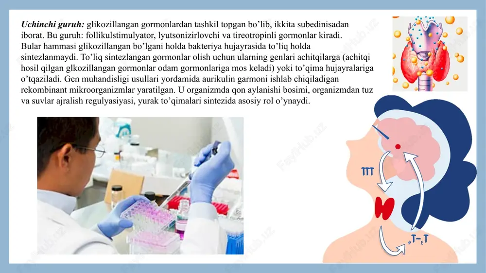 a. odam interferonlarining uch sinfi ma’lum : α, β va γ. o’tgan asrning 70- yillaridayoq, inson β-interferonini sintez qiluvchi gibrid dnk ni bakterial hujayraga o’tkazishga muvofiq bo’lingan edi. oradan ko’p o’tmay bunga o’xshash konstruksiyalar α- va γ- interferonlar uchun ham tuzildi. e.coli bakteriyasi hujayrasiga, bakterial triptofan yoki laktoza operoni va interferon geni saqlovchi, gibrid dnk o’tkazilishi bilan u yoki bu xususiyatga ega bo’lgan interferon sintez qiluvchi bakteriya shtammlari yaratilgan edi. keyinroq esa, shtammlarni hosildorligini oshirish hamda virusga qarshi xususiyatlarini ko’paytirish maqsadida rekombinant dnk da modifikasiya (xususan ba’zi-bir aminokislotalarni almashtirish) qilindi va xo’jayin hujayraning genotipi hamda ularni o’stirish sharoitlari tanlandi. interleykinlar -qisqa polipeptidlar bo’lib, ular organizmda immun javob tashkil bo’lishida qatnashadilar. gen muxandisligi usullari asosida e.coli ning har xil tipga mansub, interleykinlar ishlab chiqaruvchi shtammlari yaratilgan. latviyada (organik sintez institutida) interleykin-2 sintez qiluvchi shtamm yaratilgan bo’lib, buyrak raki xastaligini davolashda keng ishlatilib kelinmoqda. shuningdek, interleykin - 1 sintez qiluvchi e.coli shtammi …
