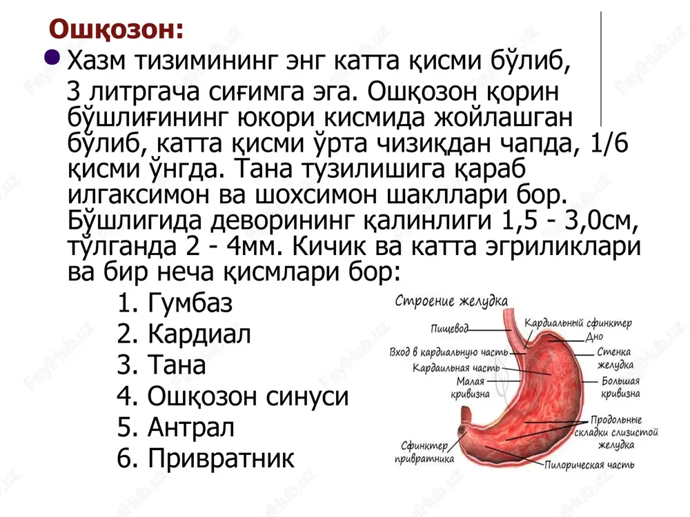 rentgenologik tekshiruv usullari - Page 9
