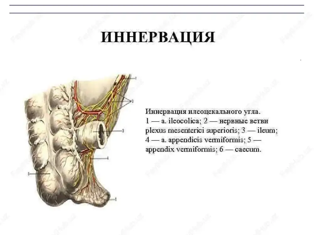 o'tkir appenditsit va uning asoratlari - Page 9