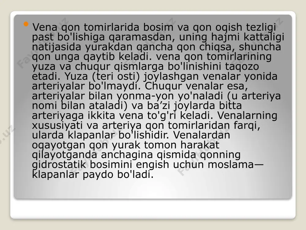 . apicoposterior — chap o'pka yuqori bo’lagi uchidagi orqa vena; 2) v. anterior chap o’pka yuqori bo’lagining oldingi venasi; 3) v. iingularis — chap o'pka yurori bo'lagining tilcha venasi. iv. vena pulmanalis sinistra inferior— chap o'pka pastki bo'lagi venasiga quyiladigan venalar: 1) v. superior - chap o'pka pastki bo'lagining yuqori venasi; 2) v. basalis communis — chap o'pka pastki bo'lagining asosidagi umumiy vena; 3) v.basalis superior— chap o'pka pastki bo'lagining asosidagi ustki vena; 4) v.basalis inferior — chap o'pka pastki bo'lagining asosidagi pastki vena y uqori kovak vena ikkita yelka-bo'yin — v. brachiocephalica dextra et sinistra laming qo'shilishidan hosil bo'ladi. y uqori kovak vena yurakning o'ng bo'lmachasiga quyiladi. har bir yelka-bo'yin venasi o'mrov osti venasi — v. subclavia va ichki bo'yinturuq venasi - v. jugularis internae laming o'zaro birikishidan hosil bo'ladi. v. brachiocephalicae dextra et sinistra - yelka-bo'yin venalari ko'krak qafasi devori va uning ichida joylashgan a’zo venalarini qabul qiladi. …