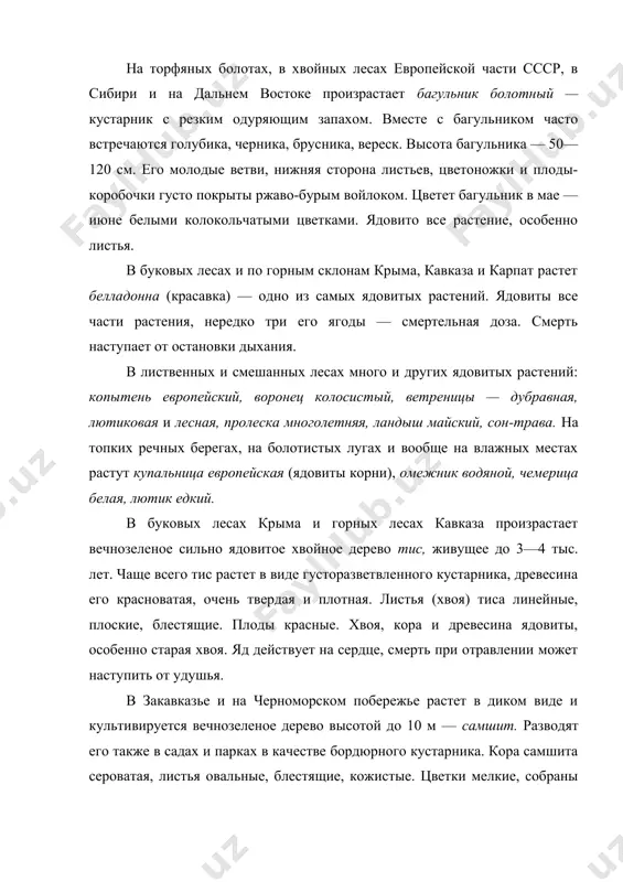ем востоке произрастает багульник болотный — кустарник с резким одуряющим запахом. вместе с багульником часто встречаются голубика, черника, брусника, вереск. высота багульника — 50—120 см. его молодые ветви, нижняя сторона листьев, цветоножки и плоды-коробочки густо покрыты ржаво-бурым войлоком. цветет багульник в мае — июне белыми колокольчатыми цветками. ядовито все растение, особенно листья. в буковых лесах и по горным склонам крыма, кавказа и карпат растет белладонна (красавка) — одно из самых ядовитых растений. ядовиты все части растения, нередко три его ягоды — смертельная доза. смерть наступает от остановки дыхания. в лиственных и смешанных лесах много и других ядовитых растений: копытень европейский, воронец колосистый, ветреницы — дубравная, лютиковая и лесная, пролеска многолетняя, ландыш майский, сон-трава. на топких речных берегах, на болотистых лугах и вообще на влажных местах растут купальница европейская (ядовиты корни), омежник водяной, чемерица белая, лютик едкий. в буковых лесах крыма и горных лесах кавказа произрастает вечнозеленое сильно ядовитое хвойное дерево …