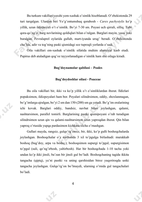80 turkum va 216 turi mavjud. oila ikkita oilachaga bo’linadi. bambukdoshchalar kichik oilasi – bambucaidae bu oilacha vakillari eng qadimiy daraxtsimon o’simliklardan iborat. unga 100 turkum va 600 dan ko’proq tur kiradi. ular tropik va subtropik hududlarda, ayniqsa osiyoda yovvoyi va madaniy holda keng tarqalgan. o’rta osiyoda va o’zbekistonda yovvoyi holda uchramaydi. bambuklar bo’yi 40 m ga, diametri 30 sm ga yetadigan ildizpoyali, poyasi yog’ochlangan daraxtsimon yoki butasimon o’simliklar. poyasi tik o’suvchi, bo’g’imli. barglari qisqa bandli, yassi, nashtarsimon yoki tuxumsimon, har yili chiqib to’kiladi yoki bir nccha yil to’kilmaydi. to’pguli ro’vak, boshoqshasi ikki va ko’p gulli, ba’zan bir gulli. guli ikki jinsli, changchisi 6-3 ta yoki undan ham ko’p. urug’chi 1 ta, 3 ta. gulqo’rg’on pardasi 3 ta. mevasi yong’oqchasimon, rezavorsimon yoki don meva. uning g’oyat baland o’sadigan turiga bambusa dendrocalamis misol bo’ladi. u tropik va subtropik, ba’zan o’rta mintaqada ham o’sib, manzara hosil qiladi. qo’ng’irboshdoshchalar kichik oilasi – poaideae …