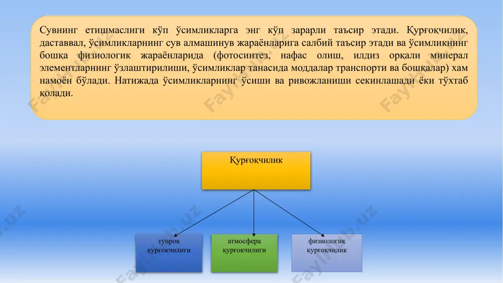 ши ривожланган, қалин, оғизчалари барг тўқимасида чуқур жойлашган. ксерофитларнинг муҳим белгиларидан бири сув буғлатувчи сатҳларнинг кичиклигидир. ўсимликларнинг қурғоқчиликка чидамлилиги ташқи шароит таъсирида ўзгаради. и. и.тумановнинг изланишлари кўрсатишича, ўсимликларга қурғоқчилик билан таъсир этиш усули туфайли уларнинг чидамлилигини ошириш мумкин. туманов текширишлари бир марта сувсизланган ўсимлик шундан кейинги сувсизланишга анча чидамли бўлиб, иккинчи марта сувсизланиш ва сўлиш уларга анча кучсиз таъсир қилганлигини кўрсатади п.а.генкел чиниқтиришни уруғнинг унаётган пайтида ўтказишни тавсия этди. бу усул бўйича уруғ эндигина унаётган вақтда бир мартадан уч мартагача қуритилади. унинг маълумотларига кўра, бундай экишдан олдин чиниқтириш қурғоқчилик вақтларида буғдой хосилини сезиларли даражада оширади. генкелнинг тушунтириши бўйича, организм ривожланишининг дастлабки вақтларида кучлироқ чиниқади. блиц-сўров учун саволлар 1. ўсимликларни яшаш муҳитига мослашишига нима дейилади? 2. сув етишмаслиги қандай омил ҳисобланади? 3. қурғоқчилик неча гуруҳга бўлинади? 4. қандай қурғоқчилик ўсимликлар учун ҳавфли? 5. қурғоқчиликка чидамли ўсимликлар қандай номланади? 6. қурғоқчилликка чидамлилигини ошириш бўйича қайси олим қандай таклиф киритган? 7. сув тақчиллиги …