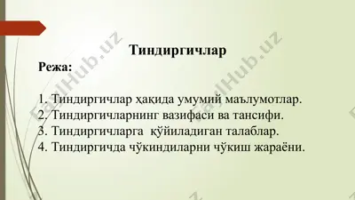 тиндиргичлар — PPTX