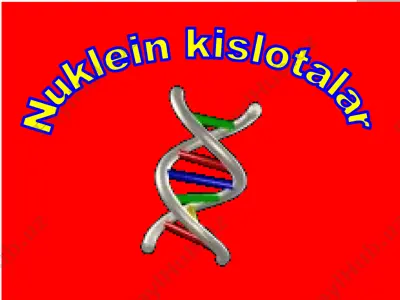 nuklein kislotalar — PPTX
