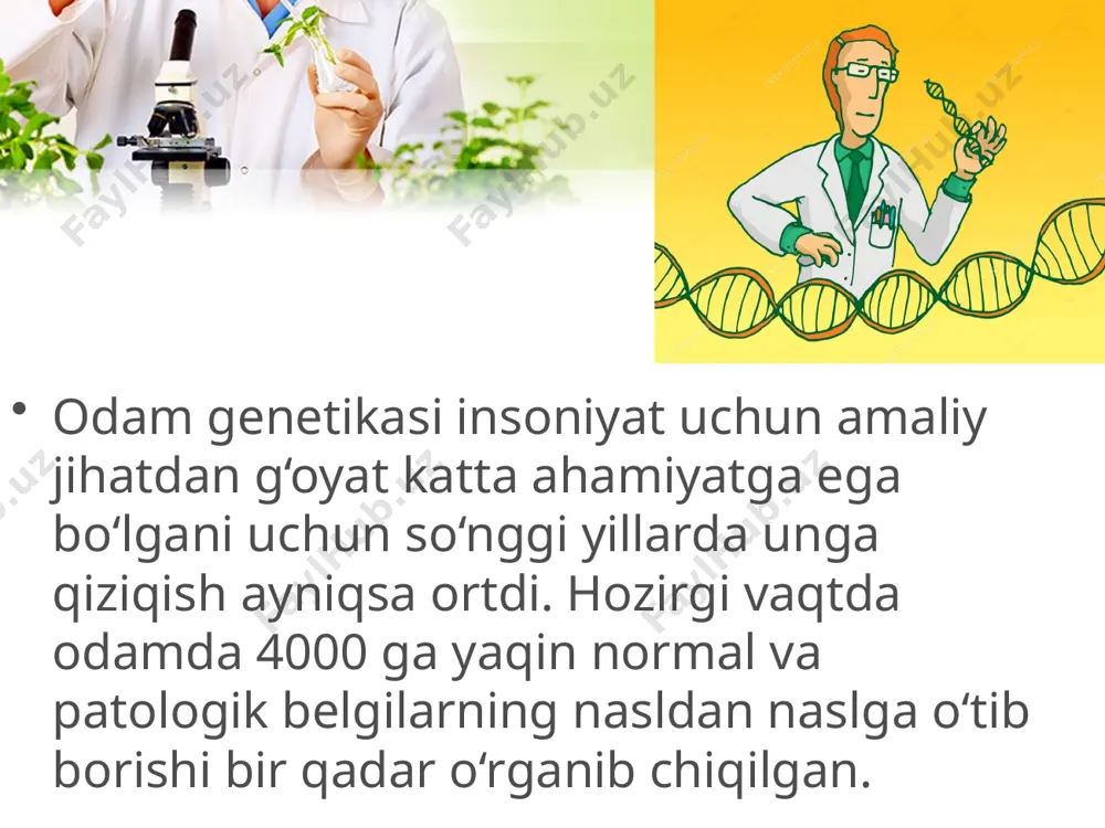 nasldan naslga o‘tishi aniqlangan. egizaklar usuli o‘xshash belgilarning egizaklarda rivojlanib borishini o‘rga nishdan iborat. ma’lumki, odamda egizaklar ikki xil bo‘ladi. ba’zi hollar da bir emas, balki ikkita (kamdan­kam hollarda uchta va hatto to‘rtta) tuxum hujayra urug‘lanadi. egizaklar bitta tuxum hujayradan va har xil tuxum hujayradan rivojlanadi. bitta tuxum hujayradan rivojlangan egizaklar bir jinsli va bir­biriga nihoyatda o‘xshash bo‘ladi. bu tushunarli albatta, chun ki ular bir xildagi genotipga egadir, ular o‘rtasidagi tavofutlar esa faqat muhit ta’siriga bog‘liq bo‘ladi. har xil tuxumdan rivojlangan egizak lar egizakmas aka­uka yoki opa­singillardek bir­biriga o‘xshash, bir xil yoki har xil jinsli bo‘ladi. sitogenetik usul so‘nggi yillarda katta ahamiyat kasb etdi. u odamda uchraydigan irsiy kasalliklarning sabablarini tushunib olish uchun ko‘pgina qimmatli materiallar beradi. genetika nuqtai nazaridan olganda irsiy kasalliklar mutatsiyalardan iborat bo‘lib, ularning ko‘pchiligi retsessivdir. bu usul odam xromosomalar to‘plamidagi ko‘rinadigan darajadagi o‘zgarishlarni o‘rganish imkonini yaratdi. biokimyoviy usul. odamda uchraydigan juda ko‘p patologik holatlar moddalar almashinuvining …