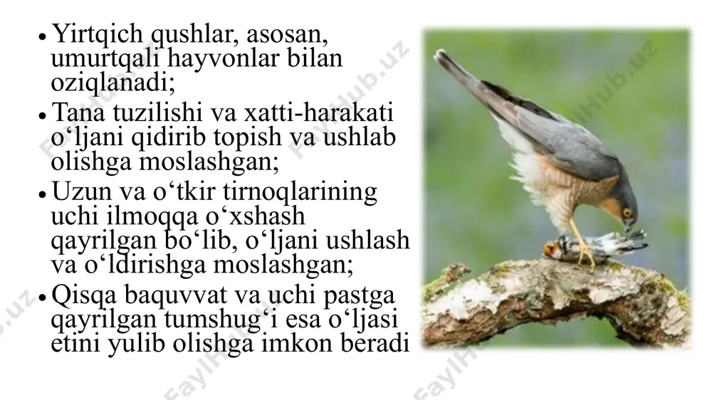 hisoblanadi qushlarni muhofaza qilish ularni bezovta qilmaslik va uyasini buzmaslikdan iborat; qushlarni dalalarga jalb etish uchun dalalar chetida daraxtlar ekiladi; qor ko‘p yog‘gan qish kunlari mayda qushlar uchun daraxt shoxlari orasiga donxo‘raklar o‘rnatilib, don-dunlar sepib qo‘yiladi. darslikda berilgan mavzuni o‘qib o‘rganib, tayanch so`zlarni tahlil qiling uyga vazifa image1.png image2.png image3.png image4.png image5.png image12.png image15.png image16.png image17.png image18.png image19.png image20.png image21.png image25.jpeg image26.png image27.png image28.png image29.png image30.png image31.png /docprops/thumbnail.jpeg