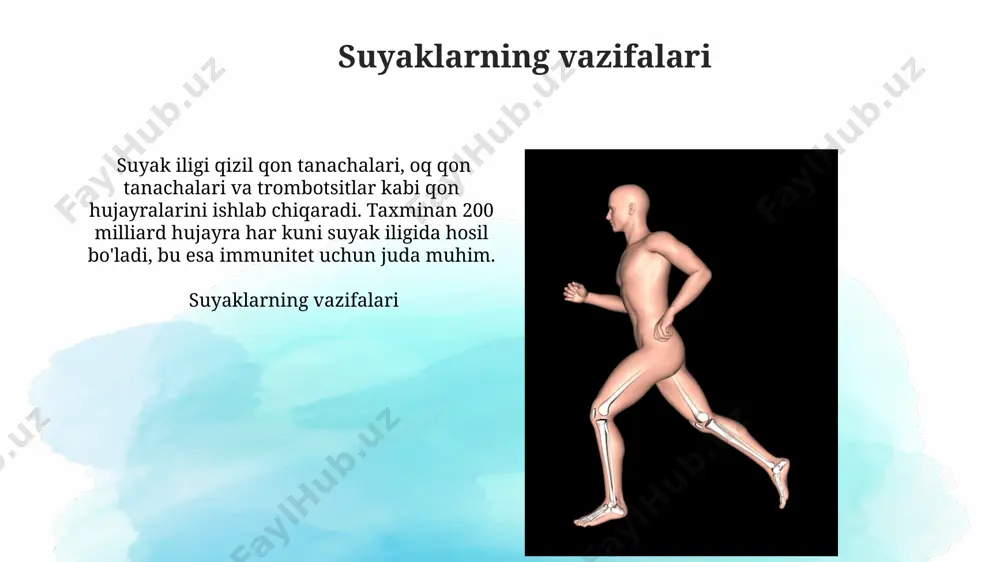 uzun naysimon suyaklar - Page 5