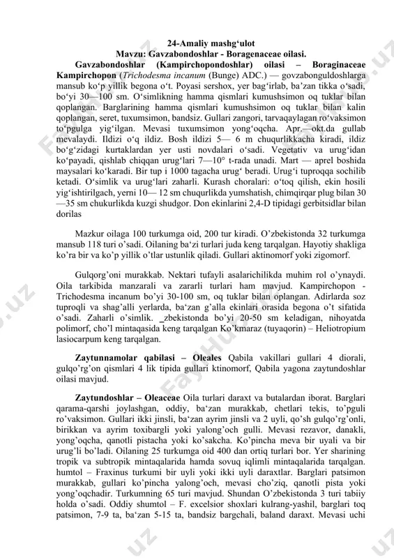 ari mavjud bo‘lib, uning 41-65% ni mentol tashkil etadi. mentol tibbiyotda, atir-upa tayyorlashda, oziq-ovqat sanoatida ishlatiladi. gul formulasi quyidagicha ↑sa(5) so3+(2) a4 g2 oilaning eng muhim turkumlarning xo‘jalik ahamiyatiga ega bo‘lgan turlarini ko‘rsating va ularga botanik ta’rif berib, aniqlagichlar yordamida 2-3 turni aniqlang. mustahkamlash uchun savollar: 1. yalpizdoshlar oilasi o‘ziga xos qanday sistematik belgilarga ega? 2. oilaning bir yillik o‘simlik sifatida madaniy holda ekiladigan turkum va turlariga ta’rif bering. 3. respublikamizda farmasevtika sanoatida qo‘llaniladigan turlarni ko‘rsating. 24-amaliy mashg‘ulot mavzu: gavzabondoshlar - boragenaceae oilasi. gavzabondoshlar (kampirchopondoshlar) oilasi – boraginaceae kampirchopon (trichodesma incanum (bunge) adc.) — govzabonguldoshlarga mansub koʻp yillik begona oʻt. poyasi sershox, yer bagʻirlab, baʼzan tikka oʻsadi, boʻyi 30—100 sm. oʻsimlikning hamma qismlari kumushsimon oq tuklar bilan qoplangan. barglarining hamma qismlari kumushsimon oq tuklar bilan kalin qoplangan, seret, tuxumsimon, bandsiz. gullari zangori, tarvaqaylagan roʻvaksimon toʻpgulga yigʻilgan. mevasi tuxumsimon yongʻoqcha. apr.—okt.da gullab mevalaydi. ildizi oʻq ildiz. bosh ildizi 5— 6 m …