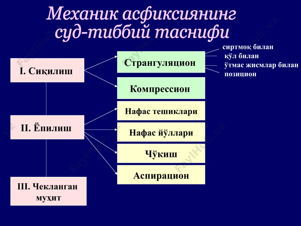 mexanik asfiksiya - Page 4