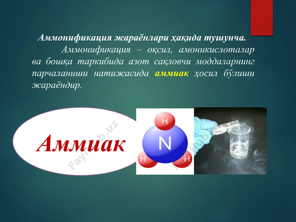 азотни табиатда алмашинишида микроорганизмларнинг роли - Page 4