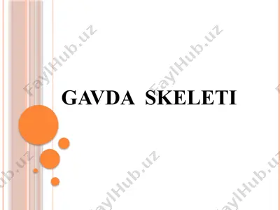 gavda skeleti — PPTX