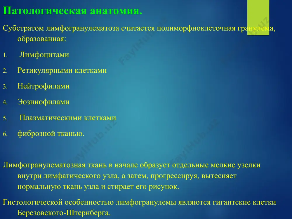 истиоцитов. морфологические варианты лгм. * соответственно различают 4 основных гистологических типа: лимфогистиоцитарный вариант — примерно 15 % случаев болезни ходжкина. чаще болеют мужчины моложе 35 лет, обнаруживается в ранних стадиях и имеет хороший прогноз. преобладают зрелые лимфоциты, клетки рид — березовского — штернберга редкие. вариант низкой злокачественности. вариант с нодулярным склерозом — наиболее частая форма, 40—50 % всех случаев. встречается обычно у молодых женщин, располагается часто в лимфатических узлах средостения и имеет хорошой прогноз. характеризуется фиброзными тяжами, которые делят лимфоидную ткань на «узлы». имеет две главные черты: клетки рид — березовского — штернберга и лакунарные клетки. лакунарные клетки большие по размеру, имеют множество ядер или одно многолопастное ядро, цитоплазма их широкая, светлая, пенистая. смешанноклеточный вариант — примерно 30 % случаев болезни ходжкина. наиболее частый вариант в развивающихся странах, у детей, пожилых лиц и у больных спидом. чаще болеют мужчины, клинически соответствует ii—iii стадии болезни с типичной общей симптоматикой и склонностью …