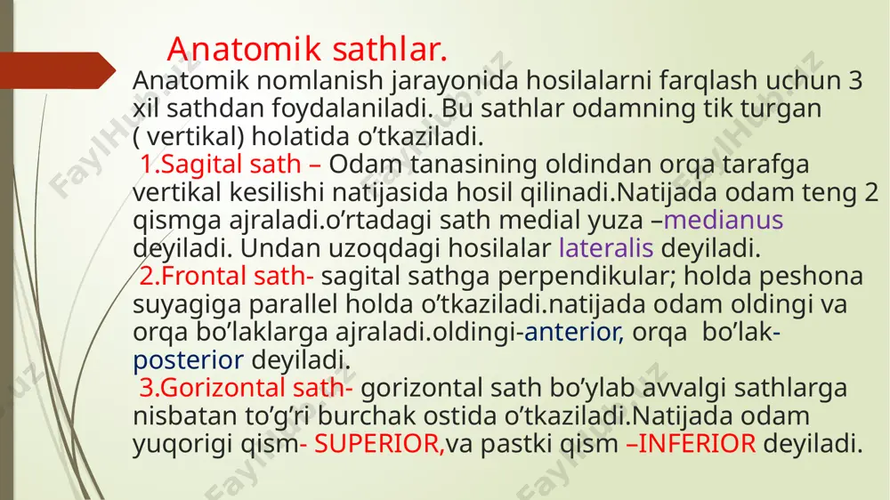 a-massae lateralis qismlaridan tashkil topadi.oldingi yoy tashqi yuzasida –tuberculum anterius bo’rtig’i ,ichki yuzasida- fovea dentis hosil bo’ladi. yoyning orqa sohasida –tuberculum posterius hosil bo’ladi. 2- bo’yin umurtqasi-axis ,tishsimon o’simta-densning borligi bilan farqlanadi.bu o’simtaning oldingi yuzasida oldingi bo’g’im yuzasi –facies articularis posterior bo’ladi.tishsimon o’simtani umurtqa tanasiga o’tish sohasini bo’yincha- collum dentis ‘ uchiga esa – apex dentis deyiladi. bu umurtqaning ustki yuzasida 1- bo’yin umurtqasi birikadigan bo’g’im yuzasi –facies articularis superior bo’ladi. hosilalari umurtqa tanasi- corpus vertebra qirrali o’simta-processus costotransversarius,bu o’simtadagi teshik- foramen transversarium, ostkibo’g’im o’simtasi-processus articularis inferior, bo’g’im yuzasi-facies articularis inferior. ko’krak umurtqalari(vertebrae thoracicae). ko’krak umurtqalari ko’krak umurtqalarining (vertebrae thoracicae) tanasi pastga tomon kattalashib boradi. umurtqa teshigi bo’yin umurtqalariga nisbatan kichik va yumaloq shaklda. ko’krak umurtqalarining o’ziga xos xususiyatlaridan biri ularda qovurg’alar boshi bilan birikadigan qovurg’a chuqurchalari borligidir. ii-ix umurtqalari tanasining orqa yon tomonida o’ng va chap yuqorigi va ostki qovurg’a chuqurchalari (foveae costales superior et inferior). i umurtqaning ustki …