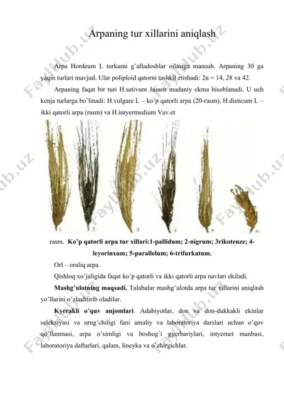 arpaning tur xillarini aniqlash — DOC