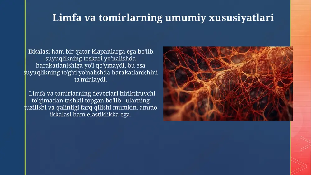 limfa va vena tizimlari taqdimoti - Page 4