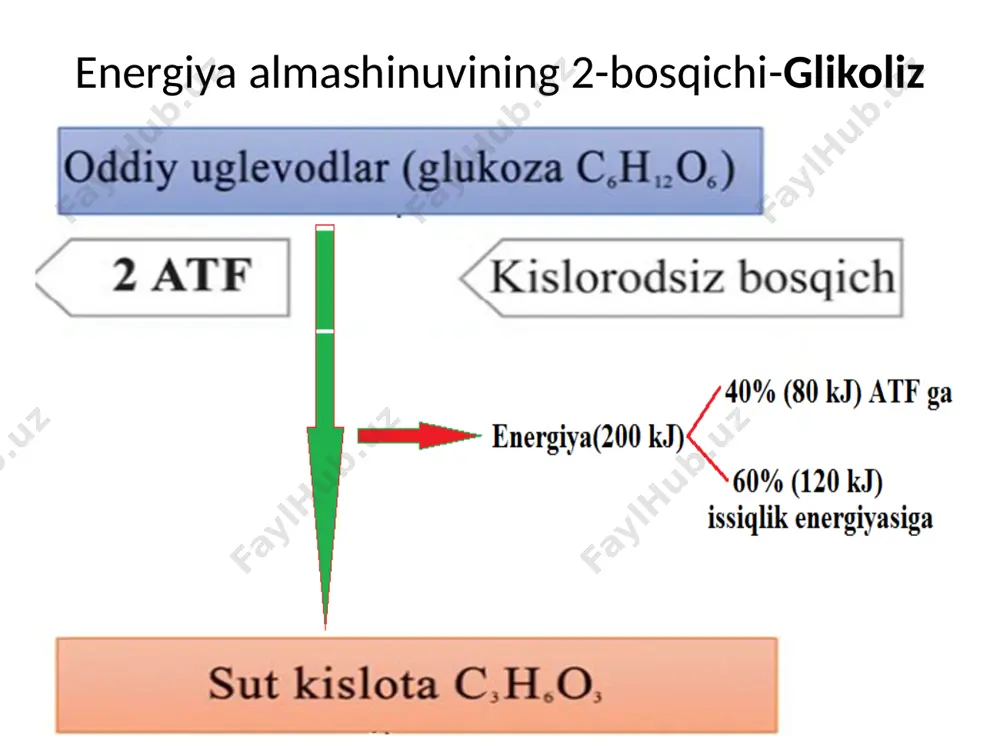 magan? a)60 b)70 c)80 d)90 3. fotosintez jarayonida 360 gr glukoza sintezida hosil bo`lgan fosfat kislota va sarflanmay qolgan co2 nisbati 2:1 bo`lsa, co2 necha foizi sarflanmagan? a)60 b)70 c)80 d)90 4. fotosintez jarayonida 540 gr glukoza sintezida hosil bo`lgan fosfat kislota va sarflanmay qolgan co2 nisbati 2:1 bo`lsa, co2 necha foizi sarflanmagan? a)60 b)70 c)80 d)90 5.fotosintez jarayonida xloraplastlarda 720 kj energiya atfning energiyaga boy bog`larida jamlandi. shuncha atf dan qancha glukoza sintezlash mumkin? a)1 b)2 c)3 d)4 6. fotosintez jarayonida xloraplastlarda 1440 kj energiya atfning energiyaga boy bog`larida jamlandi. shuncha atf dan qancha glukoza sintezlash mumkin? a)1 b)2 c)3 d)4 7. fotosintez jarayonida xloraplastlarda 2160 kj energiya atfning energiyaga boy bog`larida jamlandi. shuncha atf dan qancha glukoza sintezlash mumkin? a)1 b)2 c)3 d)4 8. fotosintez jarayonida xloraplastlarda 2880 kj energiya atfning energiyaga boy bog`larida jamlandi. shuncha atf dan qancha glukoza sintezlash mumkin? a)1 b)2 c)3 d)4 9.olcha mitaxondriyasida …