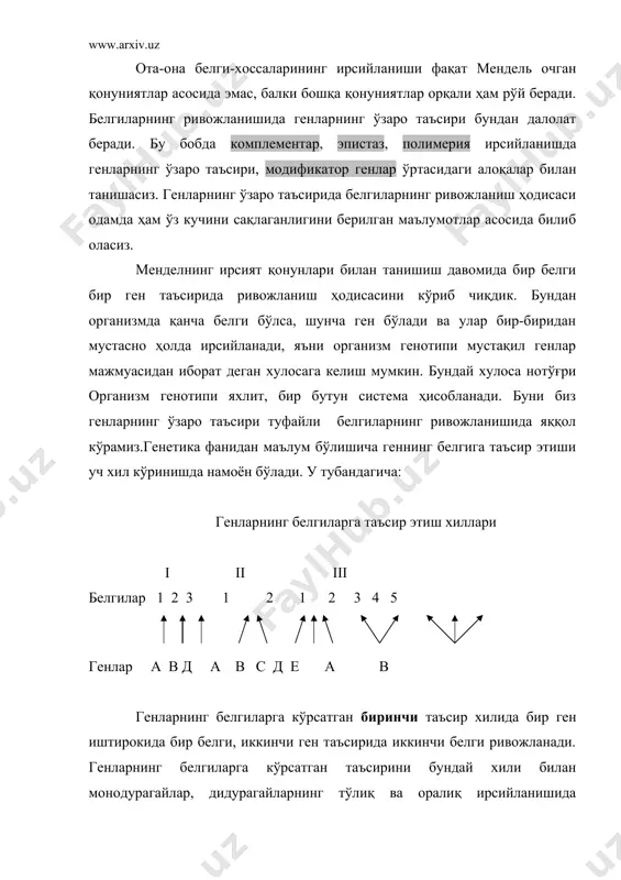 комплементар ирсийланиш бир неча ген фаолияти натижасида бир белгининг ривожланиш ҳодисаси комплементар ирсийланиш ҳисобланади. комплементар деган сўз, инглизча «complement» - тўлдириш деган маънони ифодалайди. комплементар ирсийланишнинг энг характерли томони шундан иборатки, икки организмни чатишишидан олинган биринчи авлод дурагайлар ўрганилаётган белги-хосса ота-она белгисига ўхшамай, аксинча ундан тубдан фарқ қилади. комплементар ирсийланишни одамларда қулоғи эшитмайдиганлардан эшитадиган фарзандлар туғилиши мисолида кўриш мумкин. одатда одамларда қулоқни нормал эшитиши ҳам, карлик-эшитмаслик ҳам икки жуфт ноаллел генлар таъсирида юзага келади. нормал эшитиш одамларда бу икки жуфт ноаллел генлар таъсирида юзага келади. нормал эшитиш одамларда бу икки жуфт ноаллел генлар доминант, карларда эса икки жуфт ноаллел генлардан бир жуфти гома ёки гетерозигота ҳолатда доминант, иккинчи жуфт генлар эса рецессив ҳолатда бўлади. агар никоҳланган йигит ва қизнинг ҳар иккисида карлик биринчи жуфт генлар рецессив, иккинчи жуфт генлар гомозигота ёки гетерозигота ҳолатда доминант бўлса, бундай никоҳдан кар болалар туғилади. худди шундай ҳолат йигит ва қизнинг генотипида биринчи жуфт аллель …
