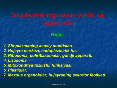 sitoplazmaning asosiy tarkibi va organoidlari — PPT