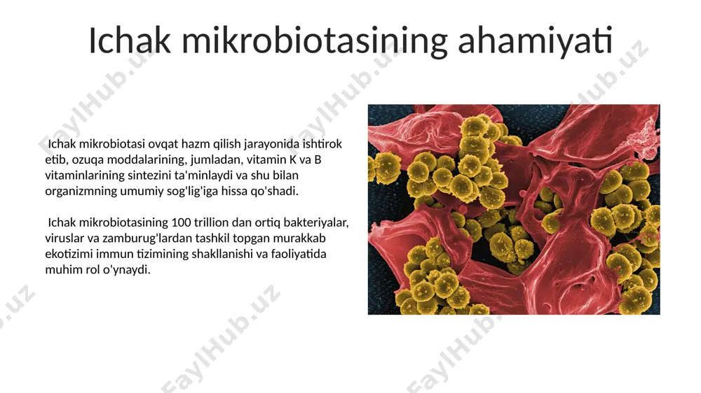 bolalarda dizbakteriozlar taqdimoti - Page 5