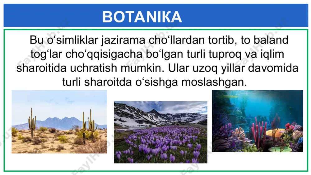 laboratoriya ishi biologiya - Page 3