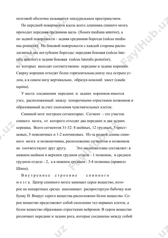 няя боковая (sulcus late- ralis anterior) и задняя боковая (sulcus lateralis posterior), из которых выходят соответственно передние и задние корешки. сверху корешки отходят более горизонтально,книзу под острым уг- лом, а в самом низу вертикально, образуя конский хвост (cauda equina). у места соединения передних и задних корешков имеется узел, расположенный между поперечными отростками позвонков и образованный за счет скопления чувствительных клеток. спинной мозг построен сегментарно. сегмент - это участок спиного мозга, от которого отходят два передних и два задних корешка. всего сегментов 31-32: 8 шейных, 12 грудных, 5 крест- цовых, 5 поясничных и 1-2 копчиковых. из-за разной длины спин- ного мозга и позвоночника, расположение сегментов и позвонков не соответствуют друг другу. это несоответсвие составляет: в нижнем шейном и верхнем грудном отделе - 1 позвонок, в среднем грудном отделе - 2, а в нижнем грудном - 3-4 позвонка (правило шипо). в н у т р е н н е е с т …