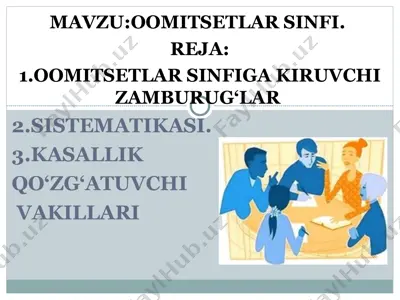 oomitsetlar sinfi — PPT