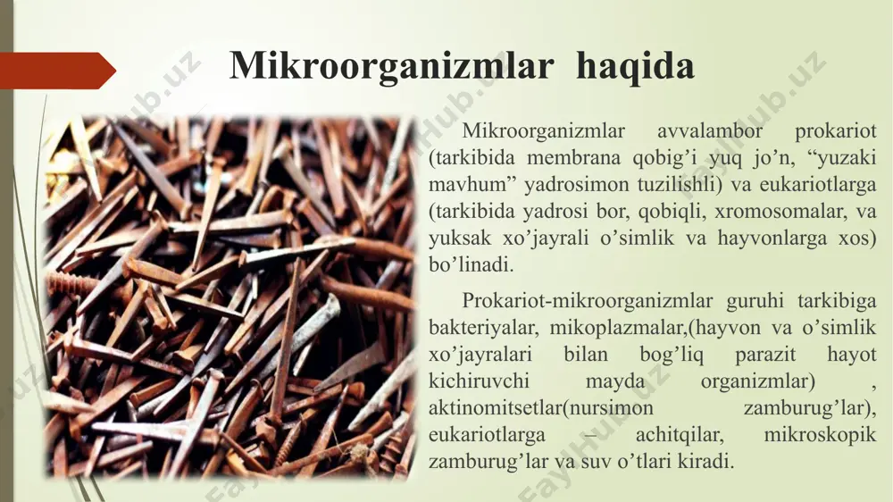 mikroorganizmlarularning turlari qo‘llanilish sohalari - Page 5