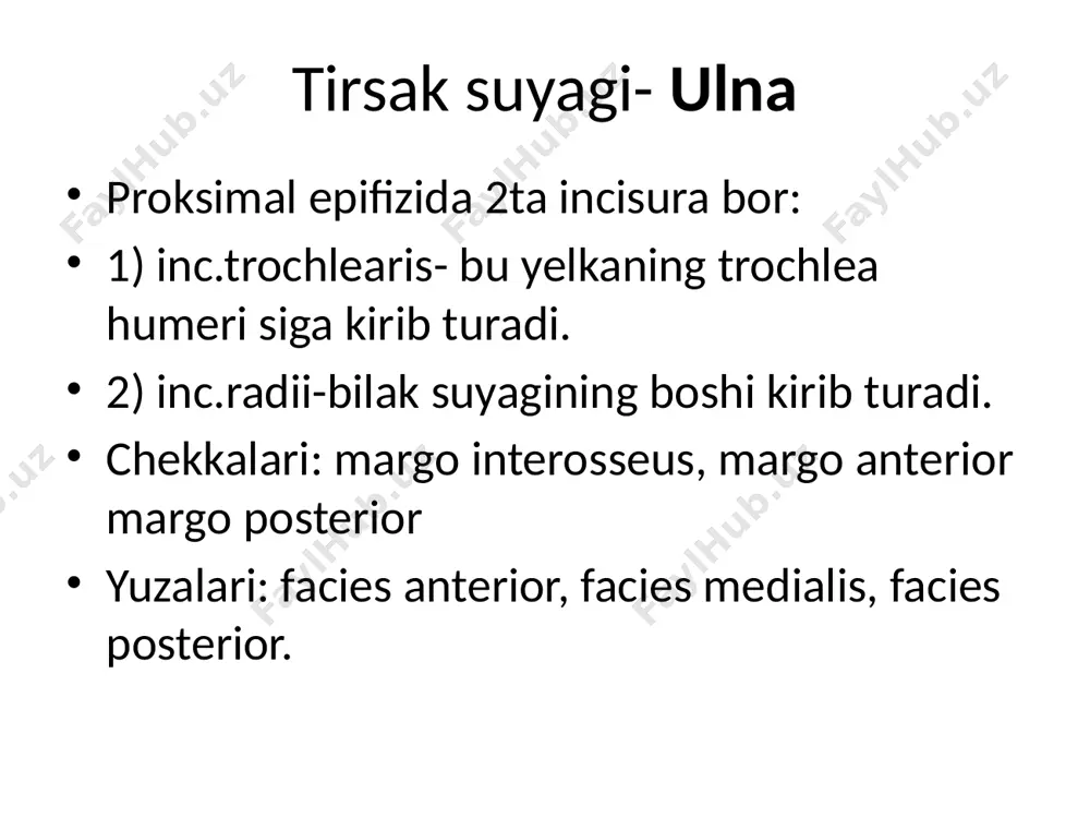 iq b.b malleolus medialis deb aytiladi. oldingi yuqori qismida tuberocitas tibia b.b, bunga sonning 4 boshli muskuli kelib birikadi. orqa yuzasida linea musculis solle b.b, bu yerdan kambalasimon muskul boshlanadi. kichik boldir- fibula chekkkalari: margo interosseus margo posterior margo anterior yuzalari: facies anterior facies posterior facies lateralis malleolus lateralis-lateral to’piq ham bor. oyoq panja- ossa pedis 3 ga bo’linadi: kaft usti- tarsus; kaft- metatarsus; barmoqlar-falanga tarsus-7 ta mayda suyaklardan iborat b.b, 2 ta qator b.b joylashgan. proksimal qatorda: tovon suy.- calcaneus oshiq suyagi- talus distal qatorda: kubsimon- os cuboideum qayiqsimon- os naviculare medial ponasimon- os cuneiforme mediale oraliq ponasimon- os cuneiforme intermedium lateral ponasimon- os cuneiforme laterale metatarsus- suyaklari kalta naysimon suyaklardan iborat b.b, 3 qismi tafovut qilinadi basis- asosi; corpus- tanasi; caput- boshi kalla skeleti- cranium cranium cerebrale(kalla qismi yoki miya qismi) os occipitale- ensa suyagi 1 ta os frontale – peshona 1 ta os parietale – tepa 2 …