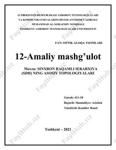 sinxron raqamli ierarxiya (sdh) ning asosiy topologiyalari — DOCX