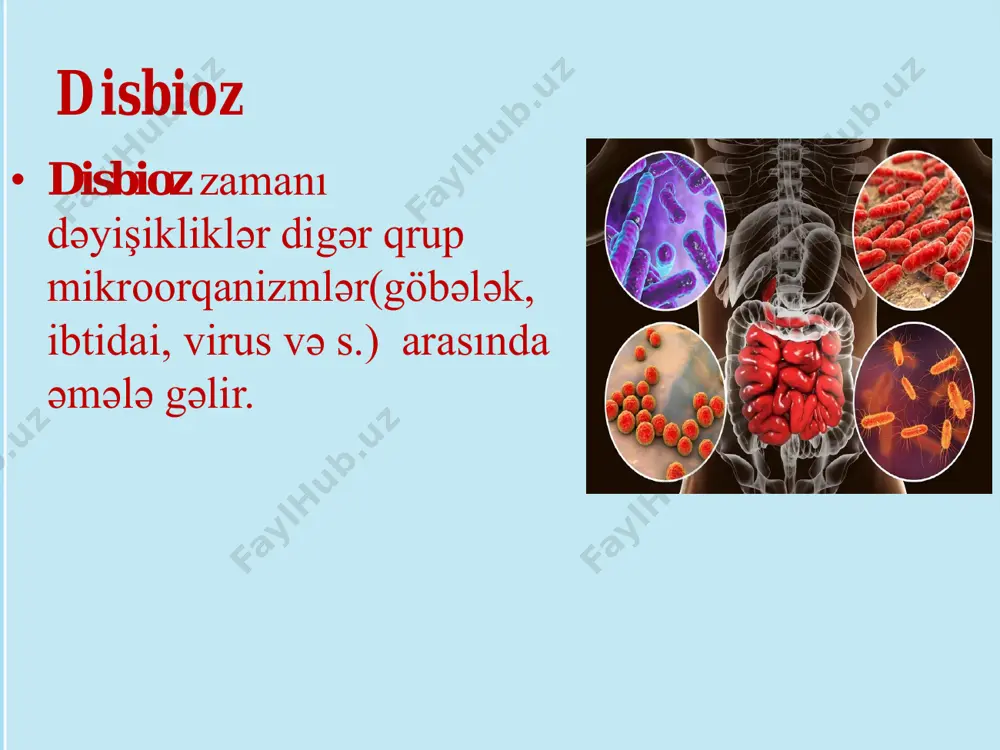 disbakterioz va disbioz - Page 4