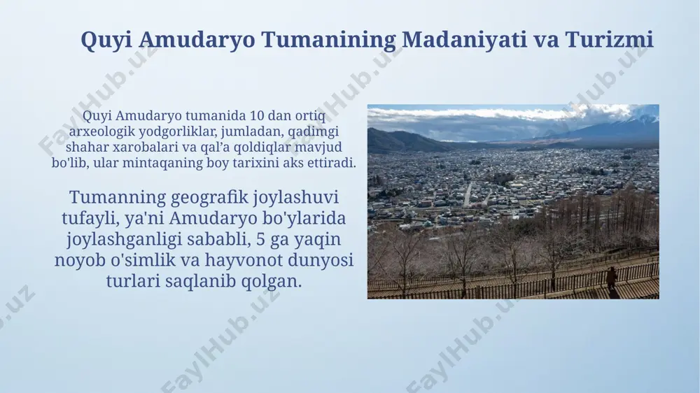quyi amudaryo tumanining tarixi - Page 5