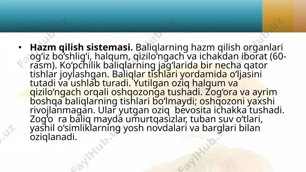 30-§. baliqlarning ichki tuzilishi - Page 4