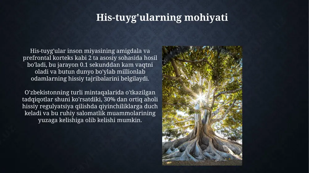 emotsiyalar va ularning inson hayotidagi ro'li - Page 5