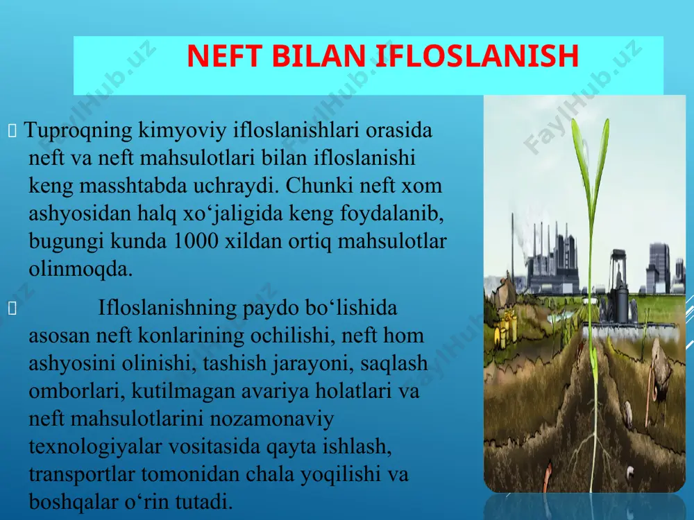 oqning eng nozik qismi hisoblangan biologik dunyosi ifloslanish natijasida sezilarli zarar ko‘radi. ayniqsa umumiy mikroorganizmlar, geterotrof, uglevodorodoksidlovchi, denitrifikator, nitrifikator bakteriyalar, zamburug‘lar, aktinomitsetlar, mayda hashoratlar va o‘simliklar zaharli kimyoviy ta’sirga nisbatan chidamsiz hisoblanadi. neft va neft mahsulotlari bilan ifloslangan tuproqlarni rekultivatsiya qilish (tozalash) usullari fizikaviy usul кimyoviy usul biologik usul хорижий мамлакатларда нефт ва нефт маҳсулотлари билан ифлосланган тупроқларни қайта тиклаш тадқиқотлари rekultivatsiya tadbirlari а-қатлам в-қатлам с-қатлам muallif: professor z.a.jabbarov neft parchalovchi bakteriyalar 1. mfd-100 (pseudomonas strutreri), 2. mfd-200 pseudomonas caryophilli burkholder), 3. mfd- 2000 (pseudomonas. sp.), 4. mfd-5000 (bacillus subtilis) 1. 2. 3. 4. neft bilan ifloslangan tuproqda g‘o‘za chigiti va bug‘doy urug‘larining unishi va ayrim fiziologik ko‘rsatkichlari (z.a.jabbarov yil) neft miqdoriga ko‘ra 200 m 2006 etr masofadan olingan tuproq namunasida tajribadagi o‘simliklar urug‘larining unishi kuzatilmadi va keyingi tuproqlarda ko‘rish mumkinki, neft konsentratsiyasiga ko‘ra turli vaqtlarda unib chiqqan nihollarning organlari ham turlicha rivojlandi variantlar ayrim fiziologik ko‘rsatkichlar tuproq namunalari (neft …