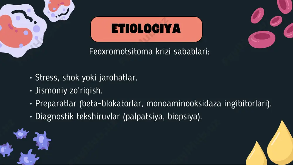 feoxromotsitoma - Page 4