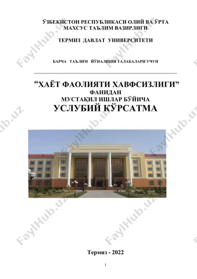 mustaqil ishlar bоyicha uslubiy korsatma — DOC