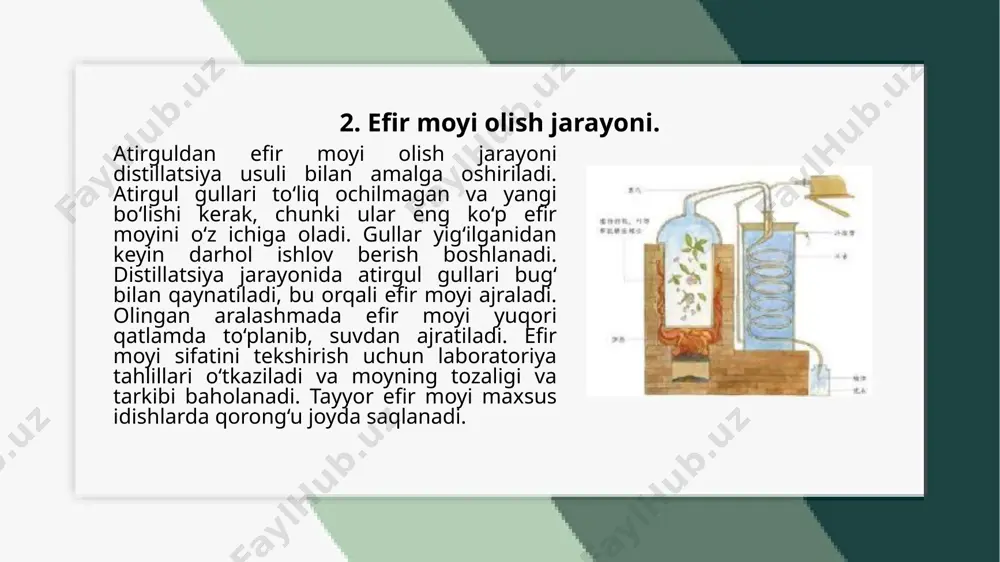 atirgul danefirmoyi olishtexnologiyasi - Page 5