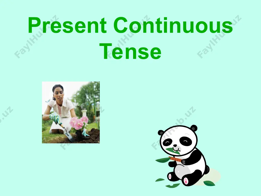 present continuous tense - Page 2