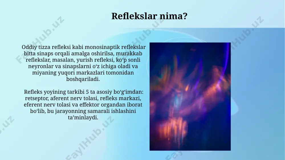 reflekslar - Page 5