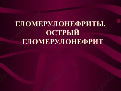 гломерулонефриты. острый гломерулонефрит — PPT