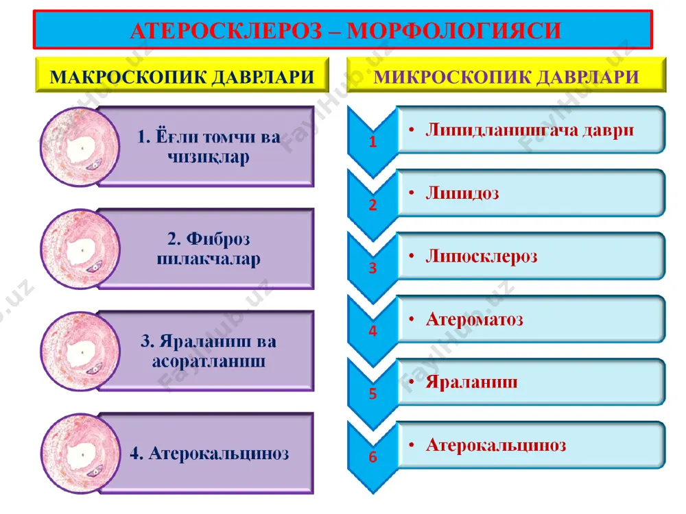 атеросклероз. гипертония касаллиги - Page 5