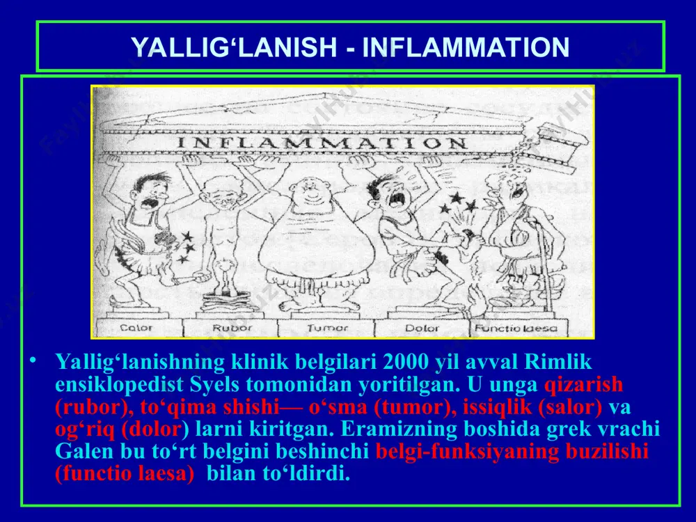 lliy tomirlar o‘zgarishi fenomeni: 1. tomir kengayishi (qizarishga va harorat oshishiga olib keladi); 2. plazma suyuqligi va oqsilning tomirdan tashqariga chiqishi (shishlar); 3. leykositlar emigrasiyasi va ularning jarohatlangan joyda to‘planishi. yallig‘lanishda leykositlar emmigrasiyasi serozli dermatit kataral bronxit kataral gastrit yiringli yoki apostematoz nefrit flegmonoz appendisit krupoz pnevmoniya yoki alveolalarda fibrinozli ekssudat to‘planishi difteritik yallig‘lanish gemorragik glomerulonefrit gemorragik pnevmoniya produktiv yallig‘lanish turlari 1. oraliq to‘qima yallig‘lanishi. 2. granulemalar shakllanishli yallig‘lanish. 3. parazitlar va yot tanachalar atrofidagi yallig‘lanish. 4 . poliplar va o‘tkir kandilomalar xosil bo‘lishi. oraliq to‘qima yallig‘lanishi turida xujayra elementlarining ko‘payishi ichki a’zolar stromasida kechadi va tarqoq skleroz yoki sirroz bilan tugaydi. granulemetoz yallig‘lanish a’zolar biriktiruvchi to‘qimasida granulema (tuguncha) shakllanishi bilan davom etadi. yallig‘lanishining bu turi ko‘pincha yuqumli va infeksion-allergik kasalliklarda (ich terlama, toshmali terlama, chin bod, bruselloz, aktinomikov) uchraydi. granulema diametri odatda 1-2 mm dan oshmay, baьzan 2 sm gacha bo‘lishi mumkin.granulema markazida parchalangan xujayralar va to‘qimalar nekrozi (detrit) …
