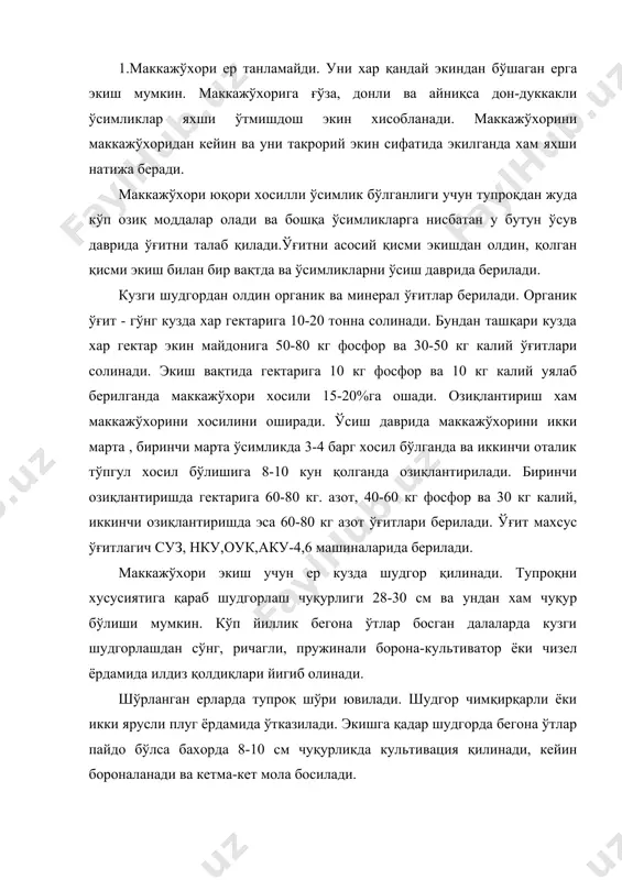 удгорда бегона ўтлар пайдо бўлса бахорда 8-10 см чуқурликда культивация қилинади, кейин бороналанади ва кетма-кет мола босилади. 2. хозирги вақтда уруғни махсус заводларда тайёрланиб хўжаликларга экиш учун берилади. лекин уруғликни хар бир хўжаликда хам тайёрлаш мумкин. бу холда экиш давригача маккажўхори уруғлари сўтада сақланиши керак. сақлаш даврида буларнинг намлиги 14-15% ошмаслиги керак. экишга 10-15 кун қолганда уруғлар сўталардан янчиб олинади. экиш учун сўтанинг ўрта қисмидаги донлар ишлатилади. сўтанинг остки ва устки қисмидаги донлар майда ва бир хил катталикда бўлмаганлиги сабабли уларнинг униб чиқиш даражаси паст бўлади..сўталардан донни янчиб олиш учун қўлда харакатга келадиган мкр-0,25 маркали маккажўхори молотилкаси ишлатилади.янчилган дон тозаланади ва махсус машиналарда йириклиги бўйича сараланади. бунинг учун дон тозалайдиган осм-3,осм-34.од-10,вс-2 машиналаридан фойдаланилади. экиладиган уруғни тозалиги 99-99,8% униб чикиш даражаси 85-95% бўлиши керак. маккажўхори бахорда тупроқ харорати 100c иссиқликга етганда экилади. бундан ташқари уни ёзда такрорий экин сифатида хам экиш мумкин. ўзбекистонни жанубий вилоятларида 15-20 мартларда тошкент, самарқанд вилоятларида хамда …