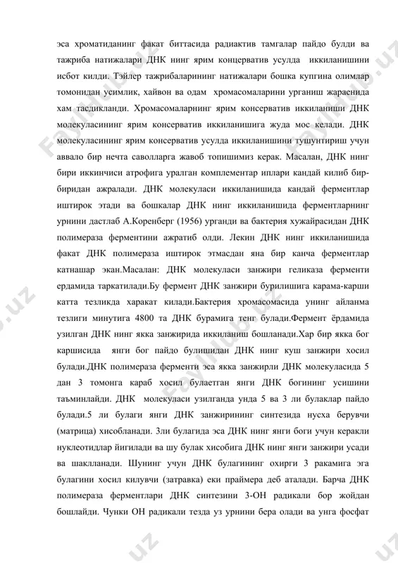 фрагментлар) хосил булиши хисобига боради. бу булаклардан янги днк занжирининг юзага келиши 5 булакдан 3 га 5-3 томон караб йуналган булади. бу булаклар кейинчалик бир-бирлари билан бирлашиб умумий полинуклеотид ипини хосил килади. 5-3 булакдан синтез килинган яхлит узун ипга устунлик килувчи 3-5 булакдан хосил булган ипга эса кечикувчи ип дейилади. днк полимераза эукариот 100-200, прокариот хужайраларида эса 1000-2000 нуклеотиддан иборат булган днк булакларини синтез килади. бу балакчалар лигаза ферменти ёрдамида бир-бирига бирлаштирилгач умумий ип хосил булади. днк синтези жуда тез кетадиган жараен булиб, бактерияларда хар бир секундда янги ипни хосил килувчи она ипга - (матрица) 500 та, вирусларда эса 900 та нуклеотид бирикади. бактерияларнинг барча днк си (4х10 п.н) 20 минут ичида тулик янгиланади. эукариот хужайраларда эса бу жараен анча секинрок боради. лекин эукариот хужайралари хромасомасида репликонлар жуда куп булади. шунинг учун бир вактнинг узида битта хромасоманинг бир неча жойида днк синтези бошланади. репликон-днк синтези бошланадиган жой. бактерия хромасомасида факат …