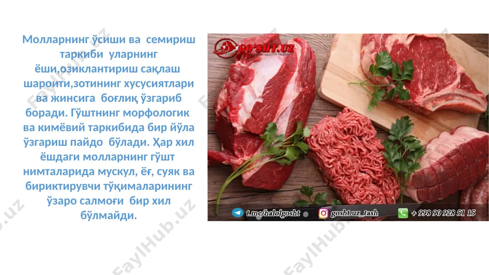 go‘shtning morfologik tuzilishi va kimyoviy tarkibi - Page 3