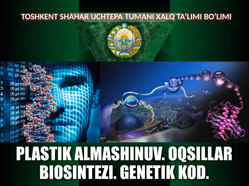 da i-rnk yordamida kodlanishi vodorod bog’lari yordamida bog’lanish мrnk а г у у ц а у ц а а г у а/к а/к у у г а ц у у г ц peptid bog’lanish а/к ribosomalarda i-rnk ko’rinishi jigardan olingan polisomada 12 ta ribosoma bo’lib ular suratda qoramtir dog’ ko’rinishiga ega, i-rnk zanjiri ko’rinmayapti mavzuni mustahkamlash quyidagi ob’yektlarning nomini ayting e’tiboringiz uchun rahmat ! media1.mp4 image2.png image1.jpeg image3.gif image4.jpg image5.jpg image6.png image7.png image8.jpg image9.png image10.jpeg image11.jpg image12.png image13.png image14.png image15.png image16.jpeg image17.jpeg image18.png media2.mp4 image19.png image20.png /docprops/thumbnail.jpeg